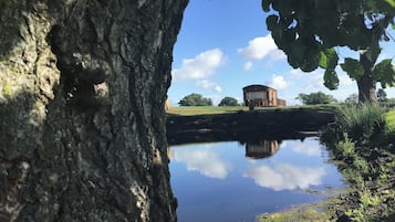 واجهة المنشأة