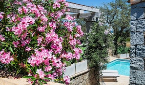 A poolside area with a stone wall, a wooden pergola, and flowering shrubs. - Villa 'Laccus 8' with Sea View, Wi-Fi and Air Conditioning (Castiadas)