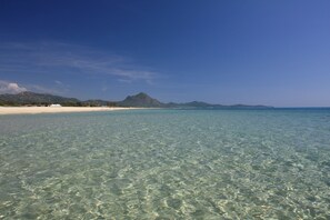 Playa en los alrededores 