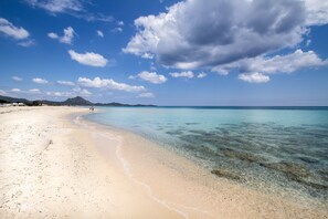 Playa en los alrededores 