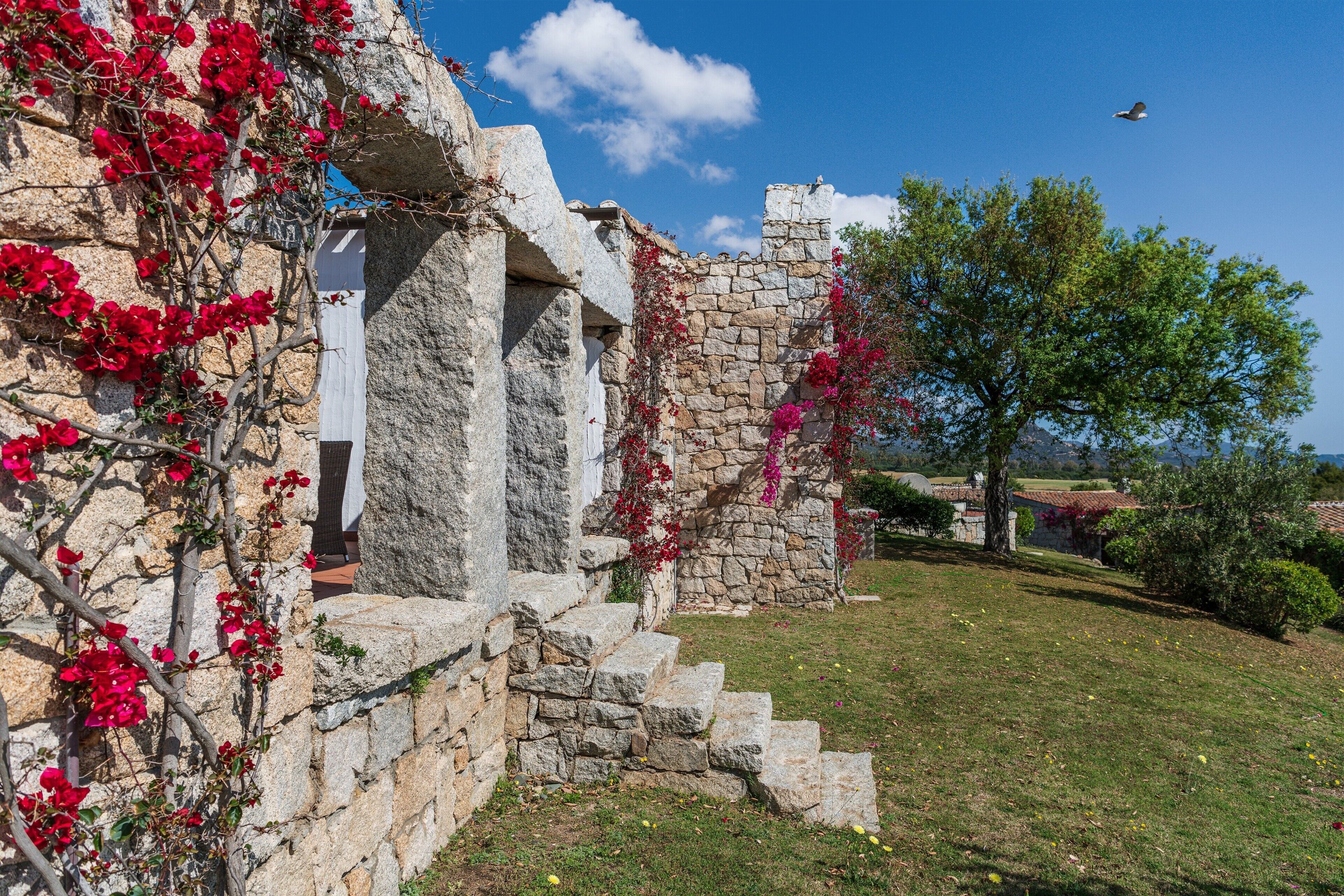 Parco della struttura