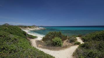 Am Strand