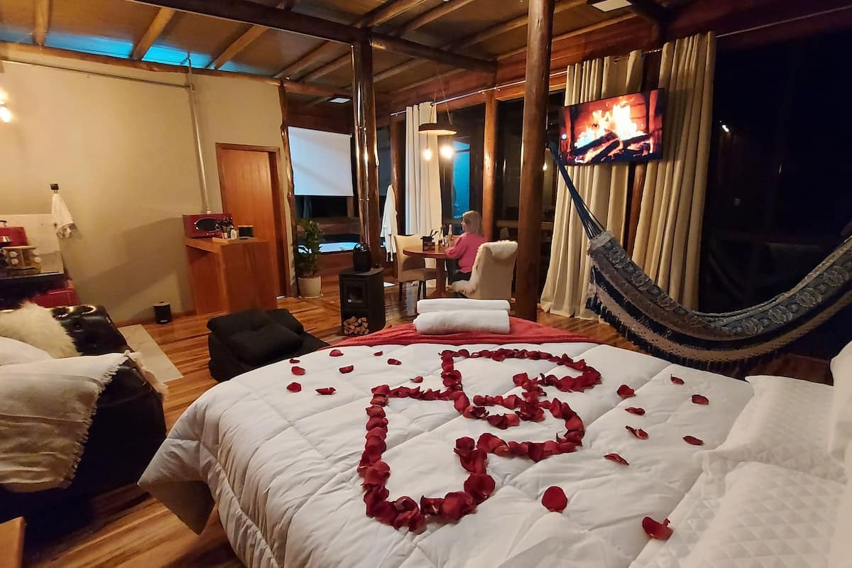 A cozy room with a bed adorned with rose petals, a hammock, and a television displaying a fire.