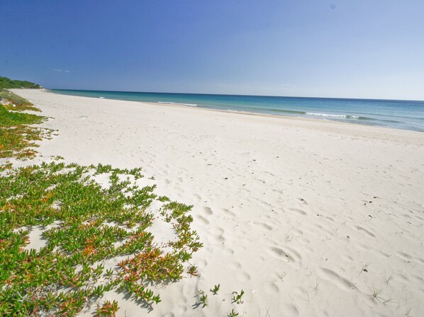 A beach with white sand and green vegetation.