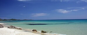 Playa en los alrededores 