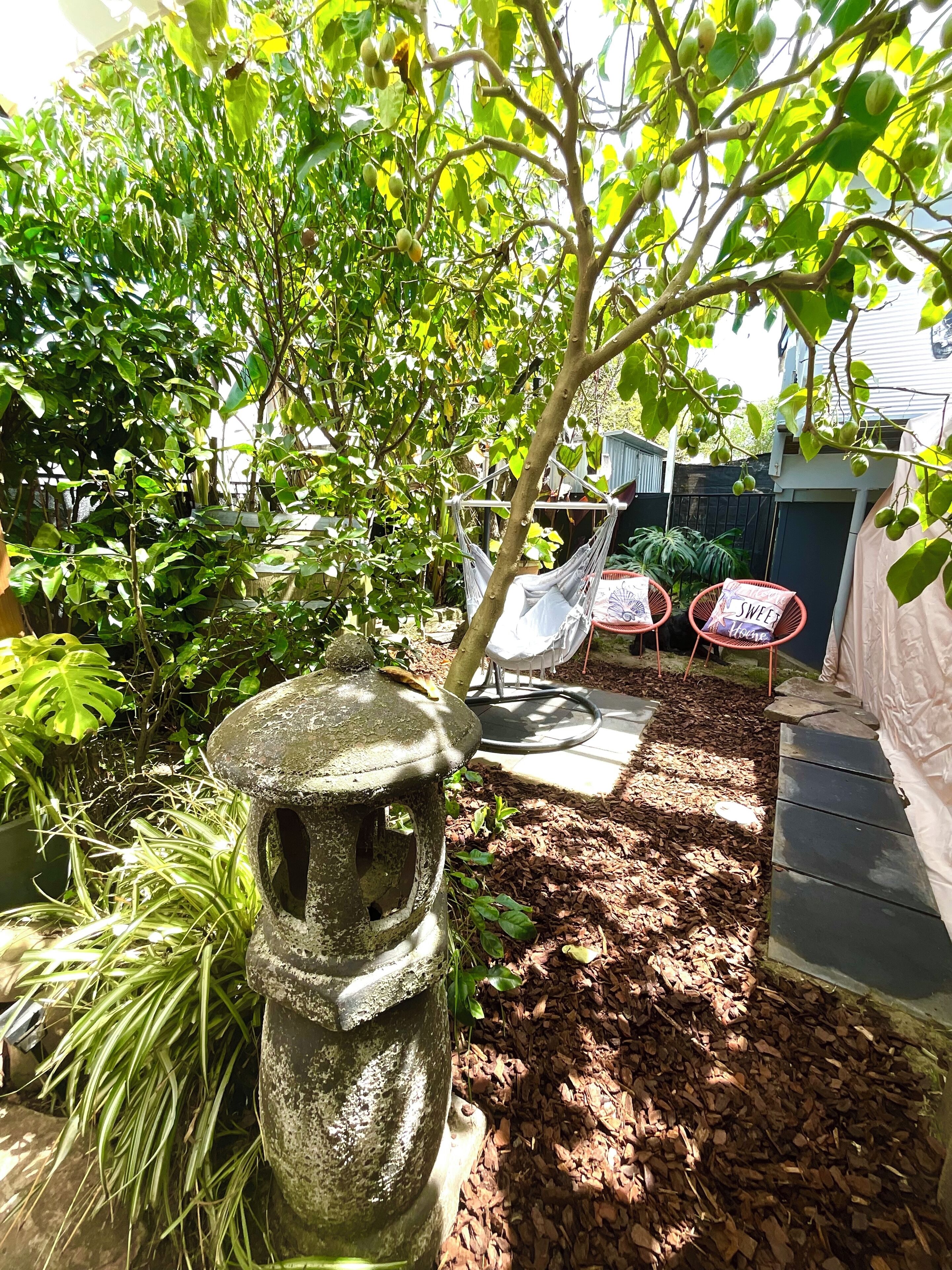 テラス / パティオ