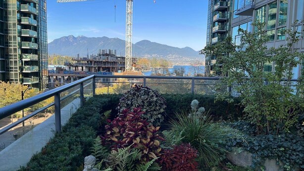 A rooftop garden with various plants and a statue, overlooking a construction site and mountains.