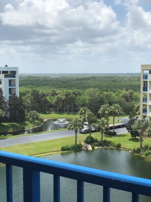 Property grounds - Minutes Walk to Ocean 3-bedroom Pools Hot Tub Central Florida Attractions (New Smyrna Beach)