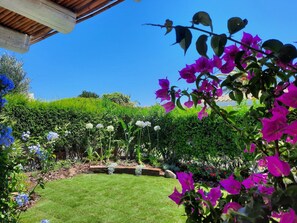 Een tuin met verschillende planten en bloemen, een verzorgd gazon en een houten pergola.