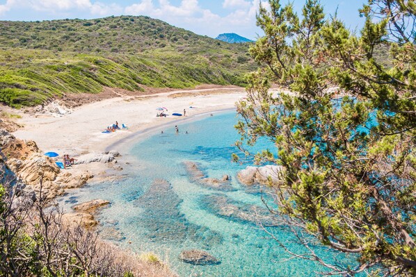 Una spiaggia nelle vicinanze
