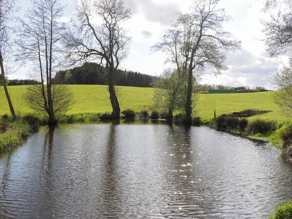 A calm river with trees on the banks and a green field in the background. - Twilight (Usk)