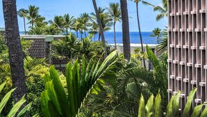 Condo, 1 Queen Bed with Sofa bed (Alii Villas#303 Fully Remodeled Top F) | Property grounds - Alii Villas#303 Fully Remodeled Top Floor Unit! (Kailua-Kona)