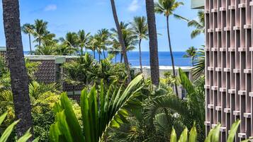 Condo, 1 Queen Bed with Sofa bed (Alii Villas#303 Fully Remodeled Top F) | Property grounds