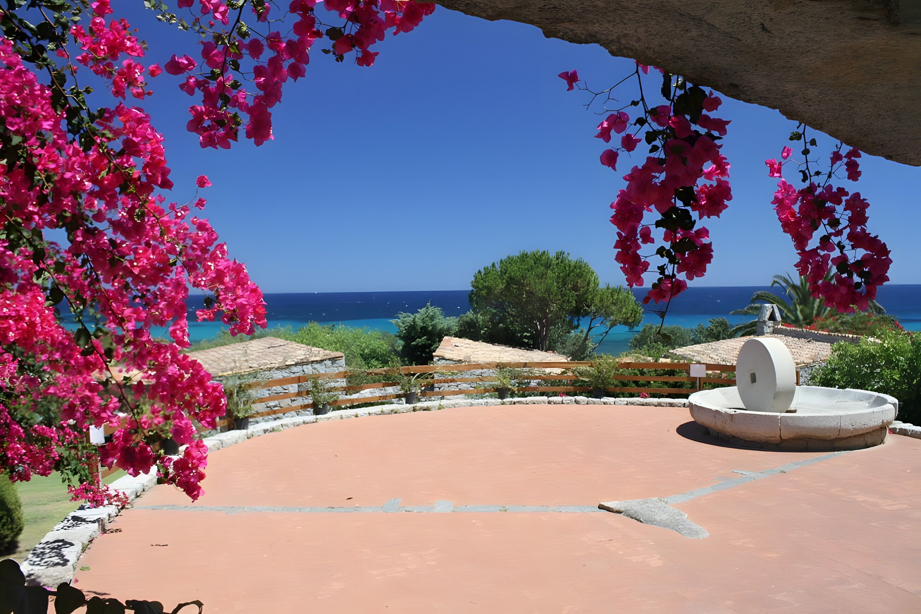 Terrein van de accommodatie