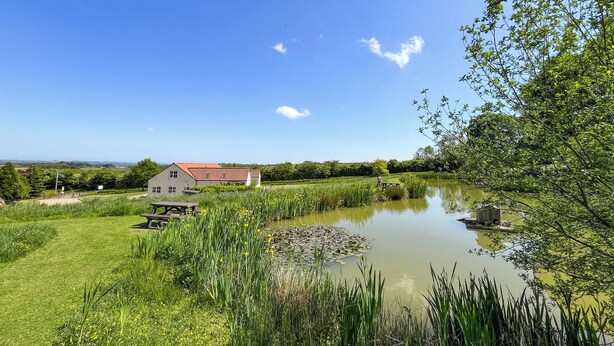 Un paysage rural avec une maison, un étang et une végétation luxuriante tout autour.