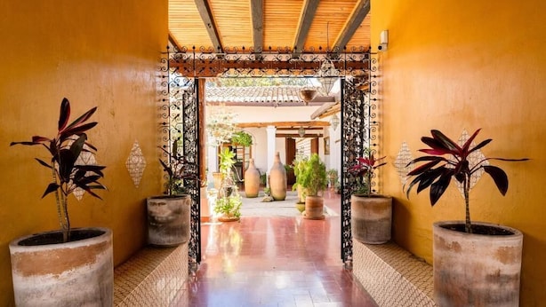 A corridor with large potted plants, a tiled floor, and a wooden ceiling. - CASA MADERO (Tapalpa)