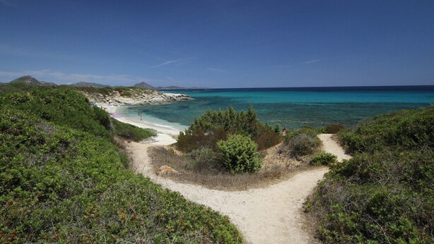 Un sendero costero que lleva a una playa con aguas turquesas cristalinas y vegetación verde.
