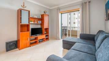 電視、DVD 播放機