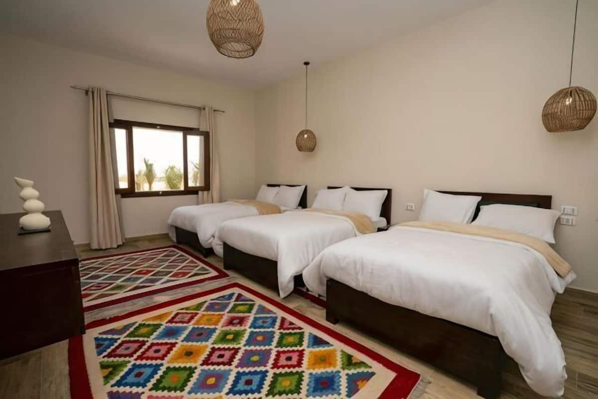 A hotel room with two beds, a desk, a window with curtains, and a colorful rug.