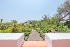 Un sendero atraviesa un jardín con diversas plantas y una montaña al fondo.