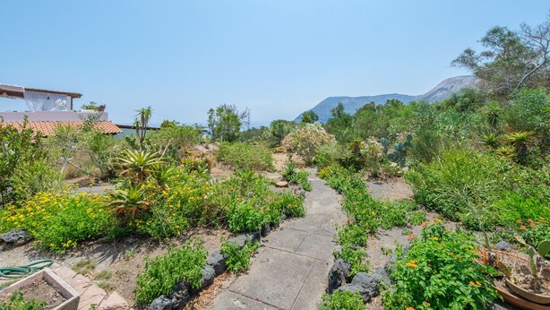 A garden pathway leading through a variety of plants and cacti, with a building on the left and a mountain in the background. - Villa 'Anna Maria' with Sea View, Private Terrace and Wi-Fi (Vulcano)