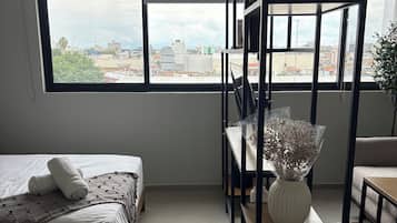 Superior Apartment, 1 Queen Bed with Sofa bed | Premium bedding, desk, laptop workspace, free WiFi