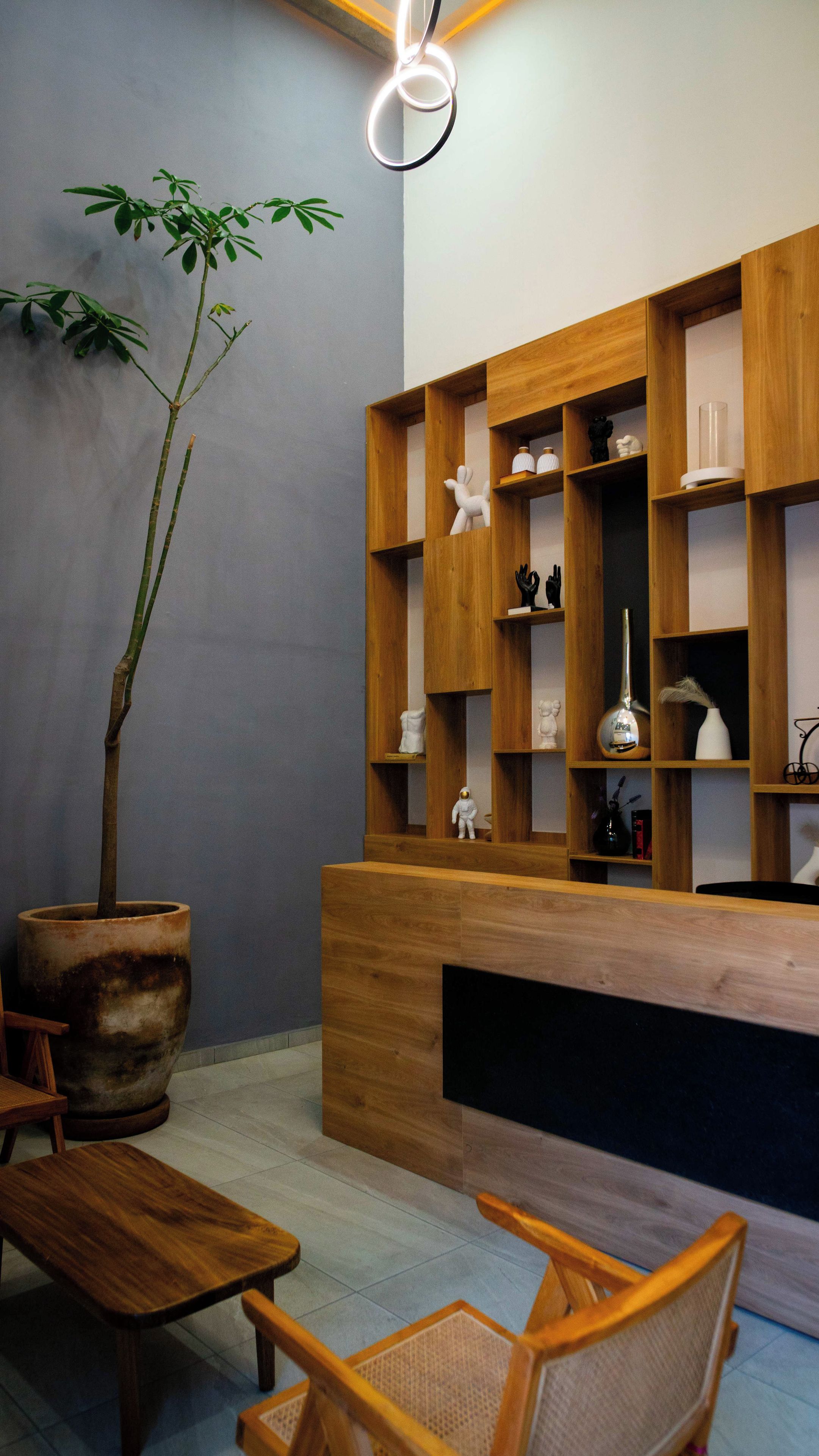 A modern reception area with wooden shelving, a large potted plant, and a seating area with wooden furniture.