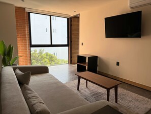 Fernseher, Arbeitsbereiche