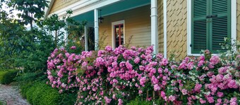 Historic charm and secret gardens. Central location. Bay St. Louis, MS