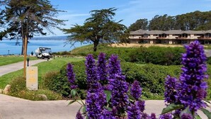 A coastal hotel with a view of the sea, surrounded by greenery and purple flowers.