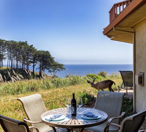 Seascape Dream! Bella Vista North Bluff Oasis
