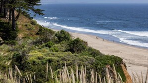 A coastal beach with a sandy shore, dense greenery, and the ocean in the background.