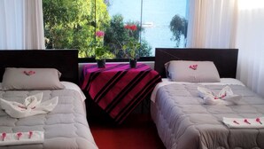 A hotel room with two beds, a view of the sea, and a balcony with plants.