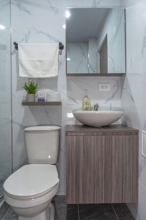 Serviettes fournies, savon, papier toilette