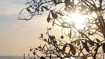 Une scène de plage avec un arbre au premier plan et le soleil se couchant à l’arrière-plan.