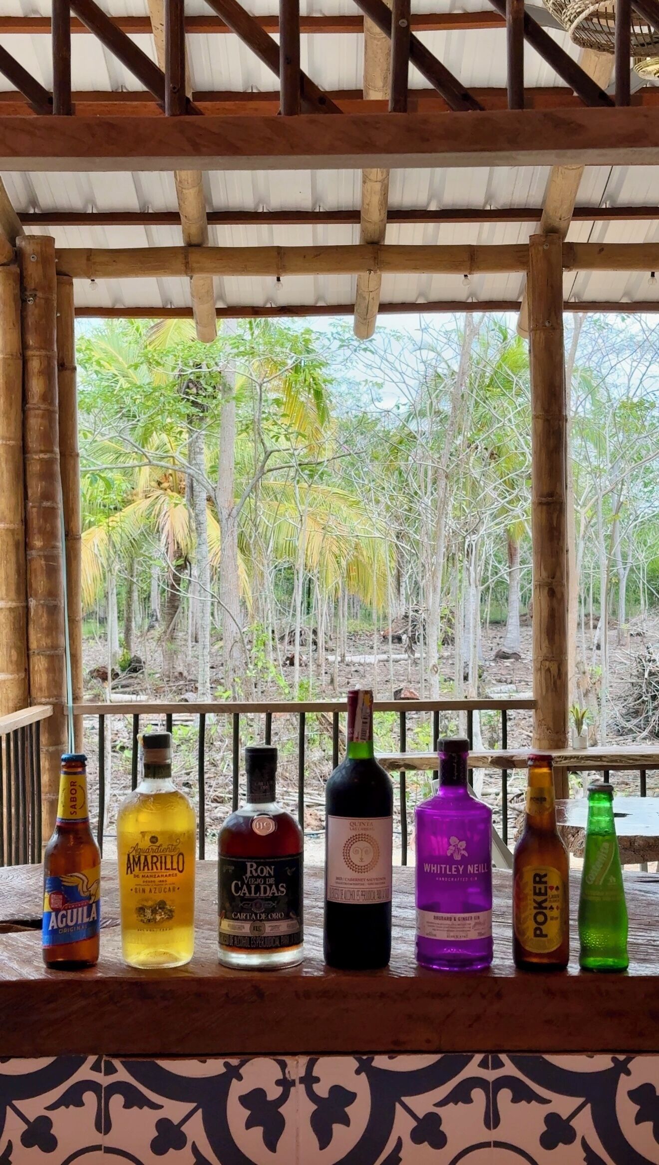 Bar (en la propiedad)