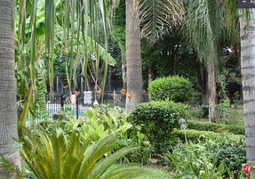 Un jardin luxuriant, avec une variété de plantes et d’arbres, une haie soigneusement taillée et une clôture en métal.