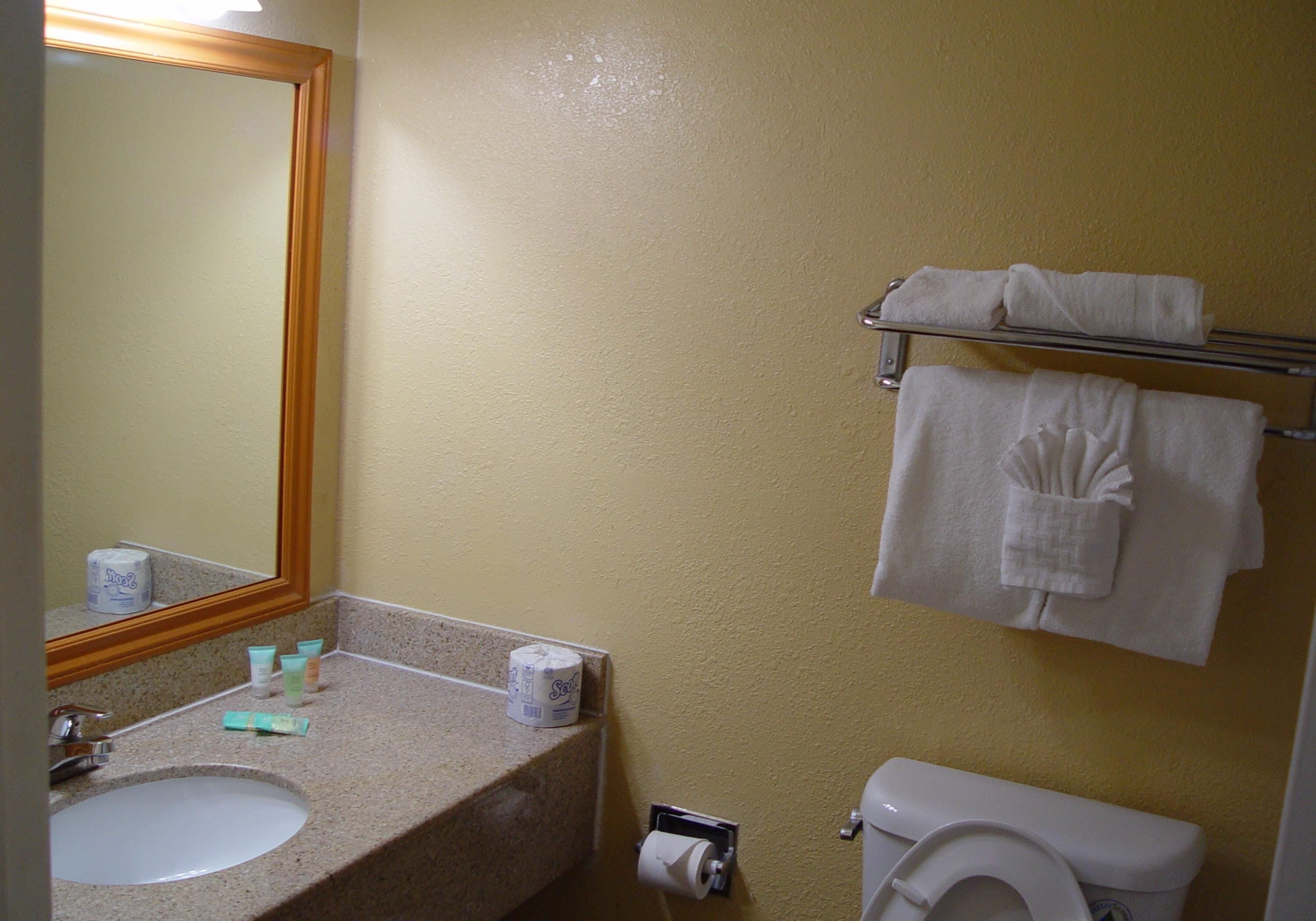 A bathroom with a sink, mirror, toilet, and towel rack.