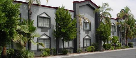 A row of modern buildings with large windows and a red roof, surrounded by palm trees.