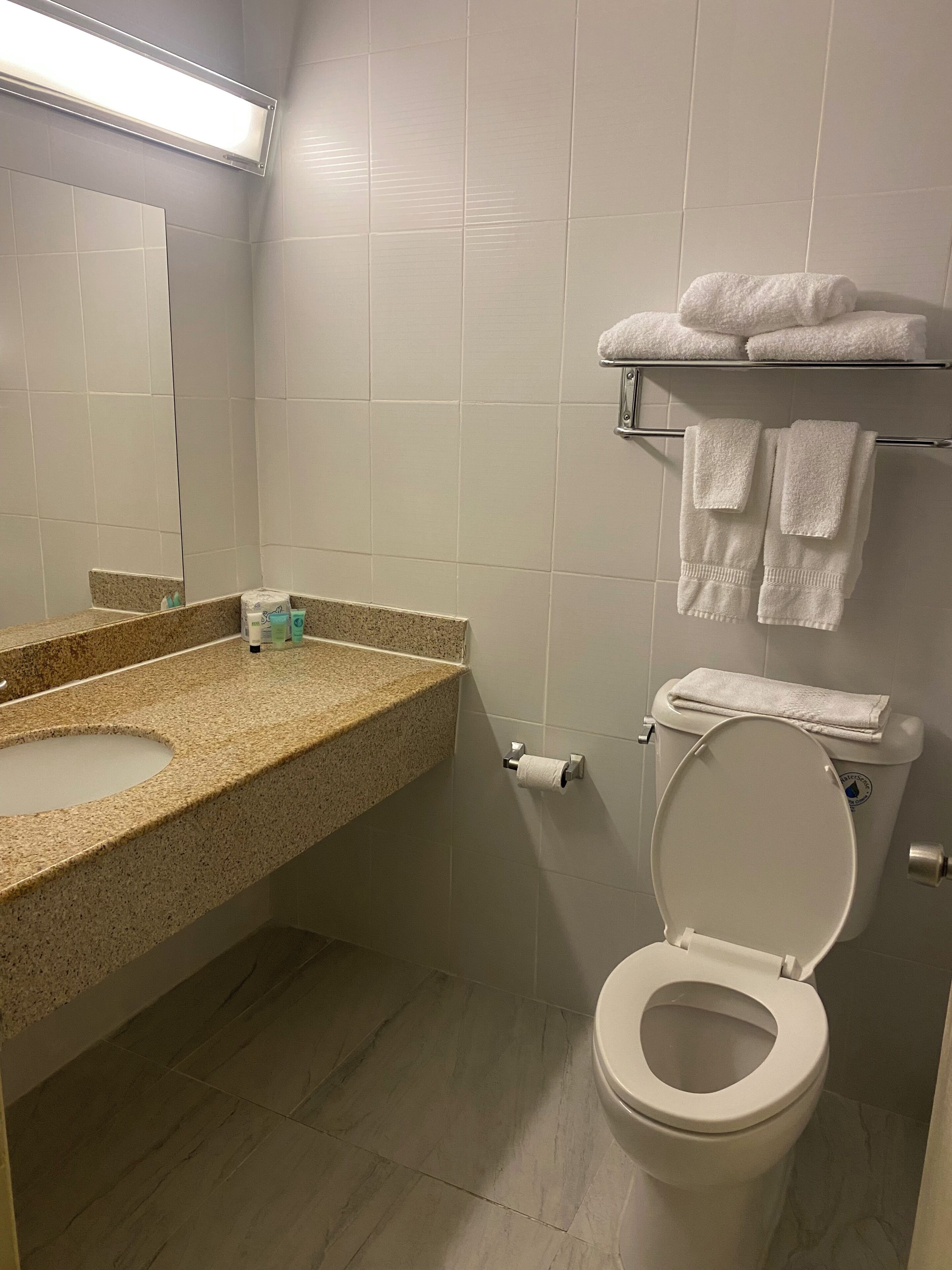A bathroom with a toilet, sink, and towel rack.