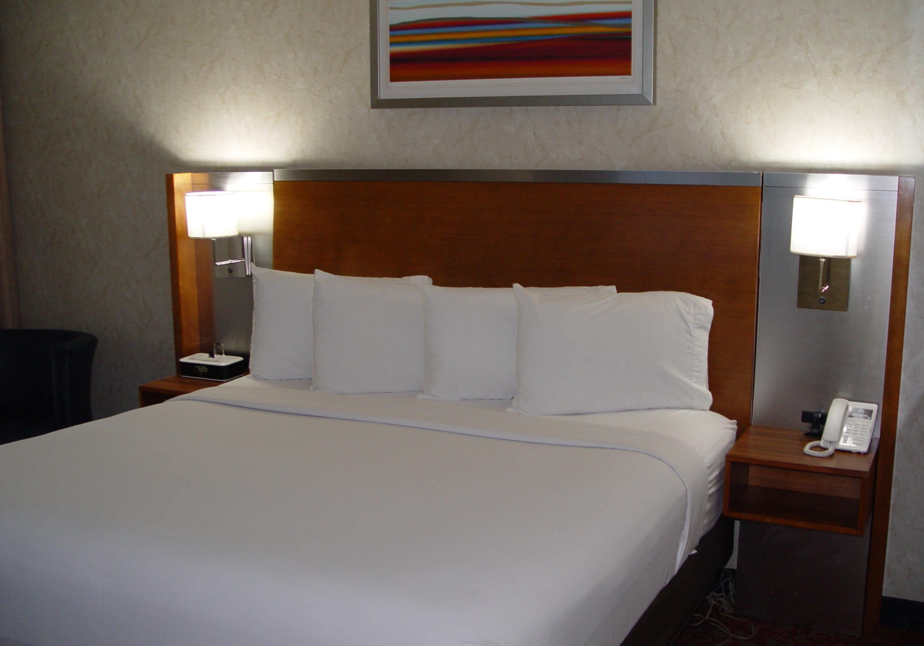 Standard Room, 1 King Bed, Non Smoking, Courtyard View | Premium bedding, desk, laptop workspace, blackout curtains