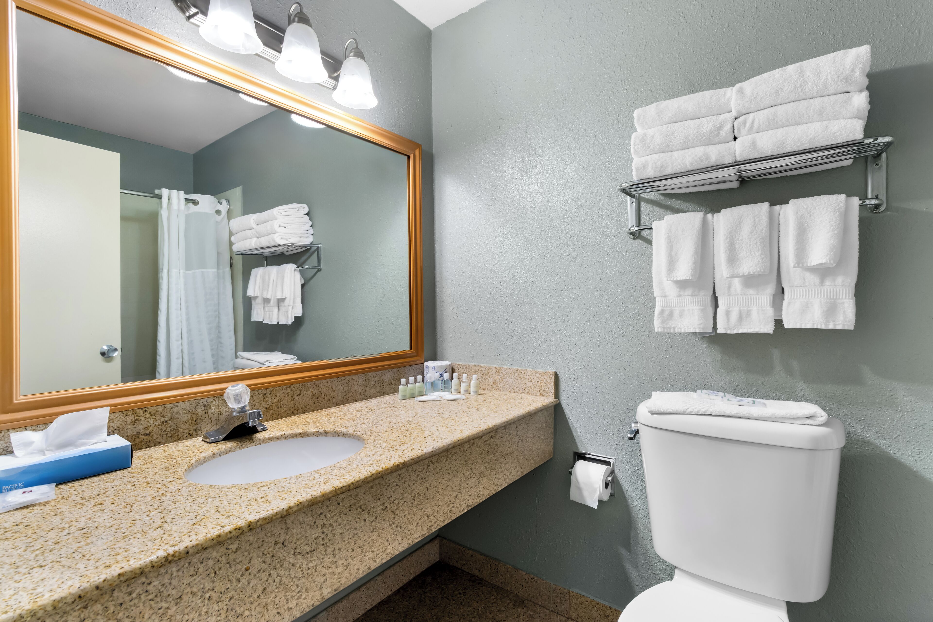 Une salle de bain avec un lavabo en granit, un miroir, un porte-serviettes et des toilettes.