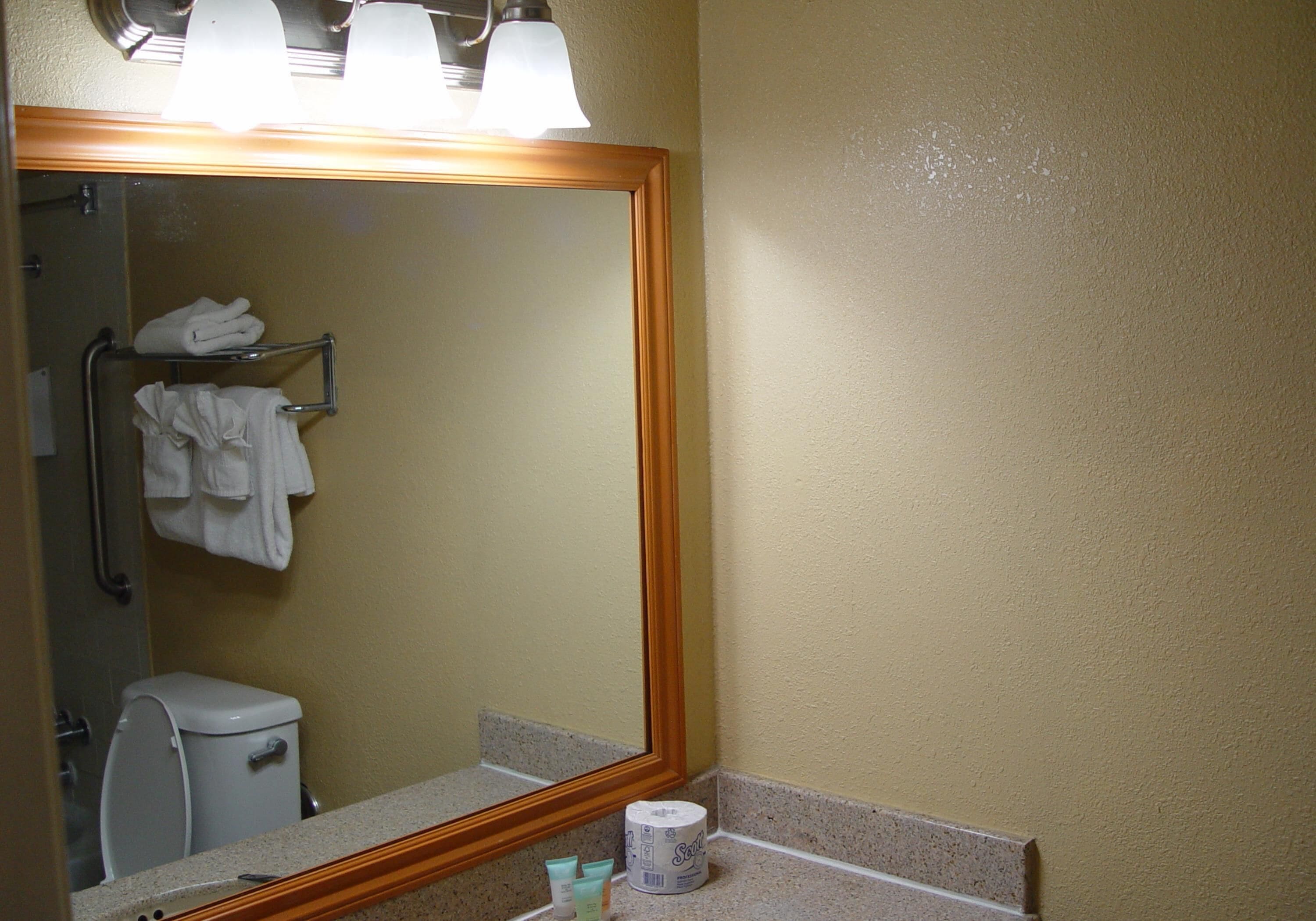 A bathroom with a mirror, a towel rack, a toilet, and a roll of toilet paper.