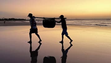 Playa en los alrededores, camastros y toallas de playa
