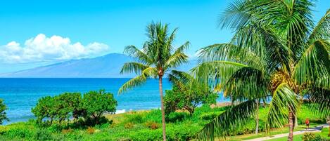 Apartment (6 Bedrooms) | Fassade der Unterkunft