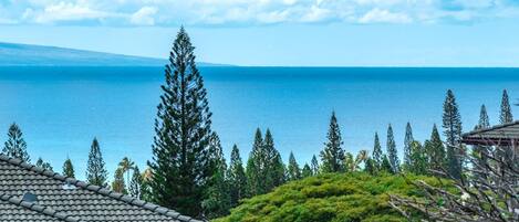 Condo (4 Bedrooms) | Front of property