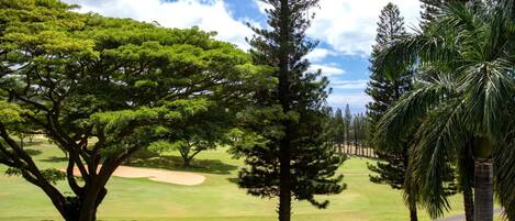 Condo (4 Bedrooms) | Front of property