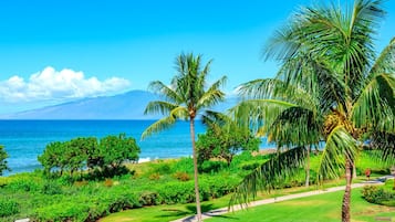 Condo (1 Bedroom) | Front of property