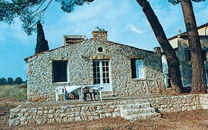 Esterni
