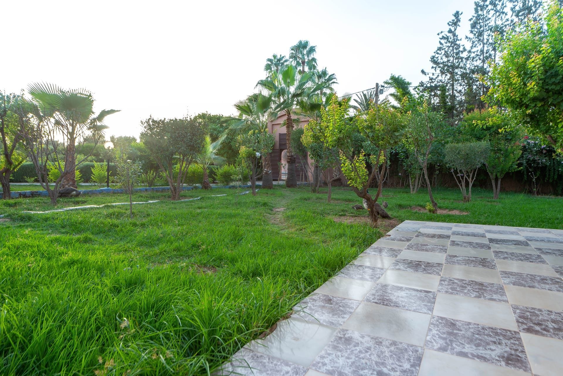 A garden with a paved walkway, various trees, and a building in the background.